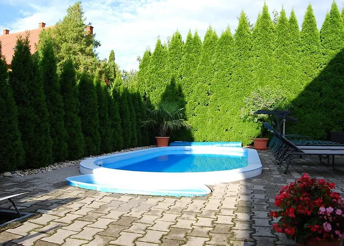 Barackvirag Vendeghaz