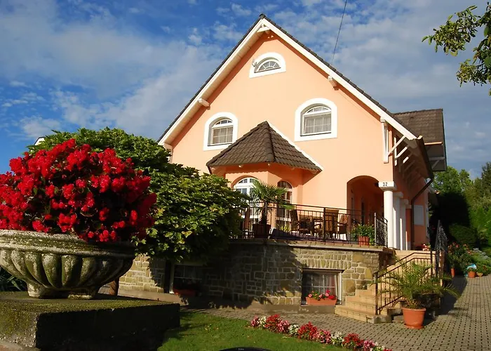 Barackvirag Vendeghaz Gasthof