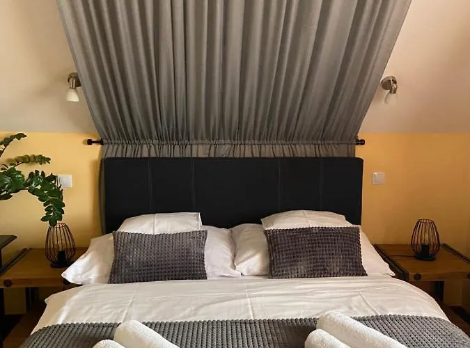 Barackvirag Vendeghaz Penzion 3*