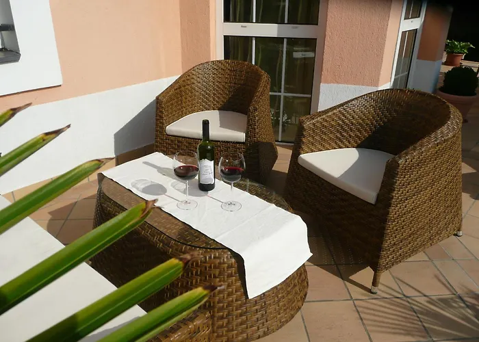 Barackvirag Vendeghaz