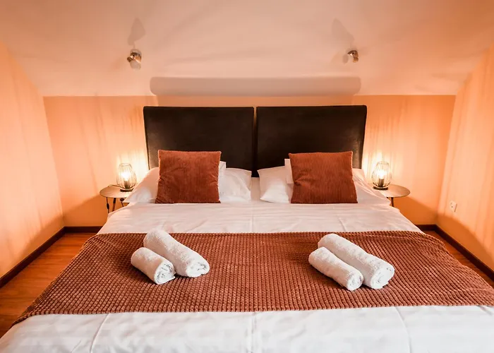 Barackvirag Vendeghaz