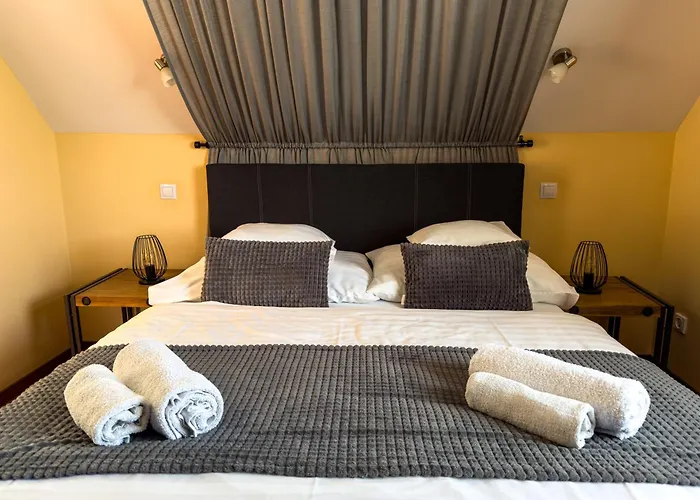 Barackvirag Vendeghaz Gasthuis 3*