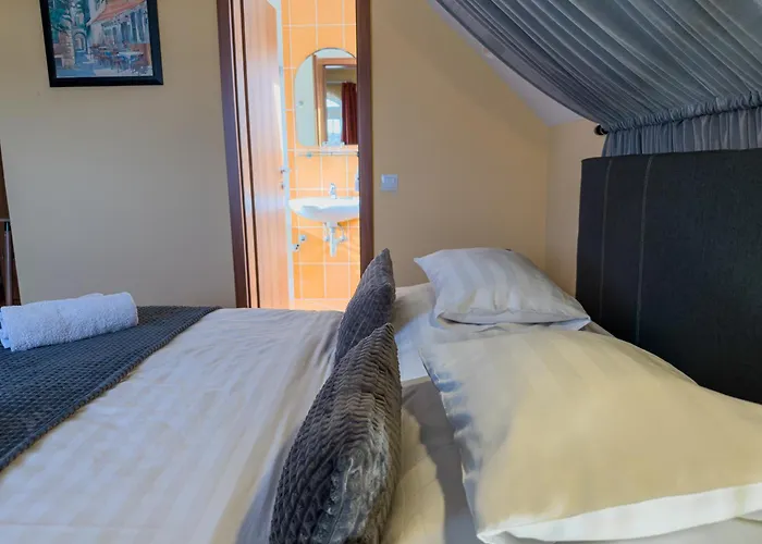 Gasthuis Barackvirag Vendeghaz 3*