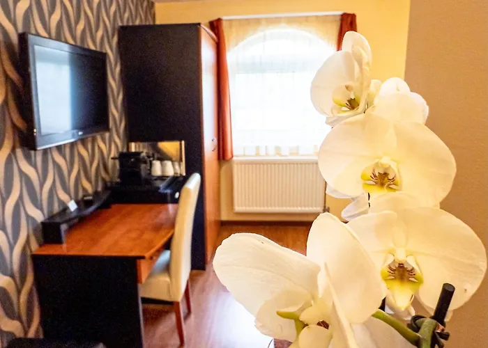 Barackvirag Vendeghaz 3*