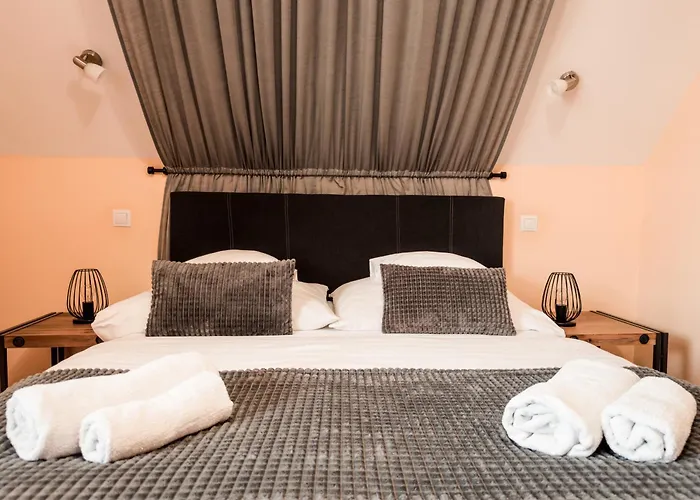 Barackvirag Vendeghaz