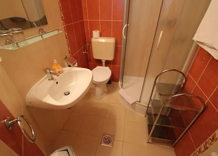 Gasthof Barackvirag Vendeghaz 3*