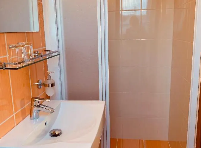 Barackvirag Vendeghaz